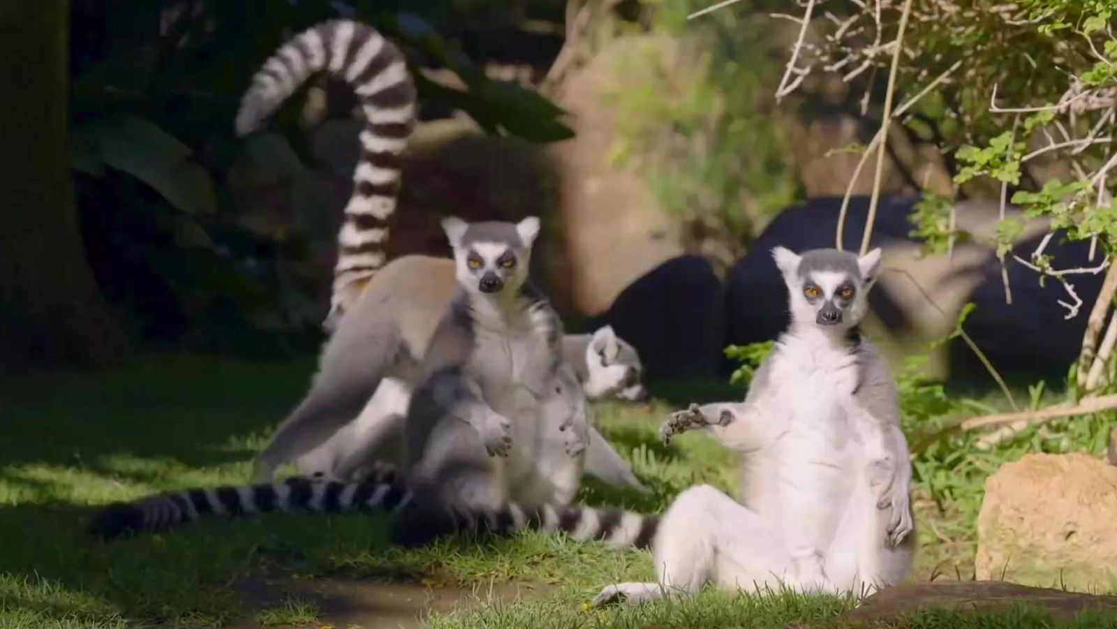 Aquí la Tierra - 23/10/24 - ver ahora