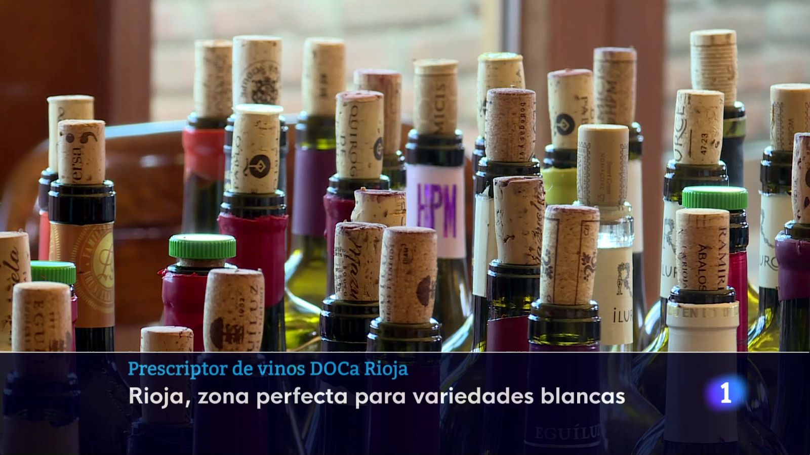 Informativo Telerioja  - 24/10/24 - Ver ahora | Ver