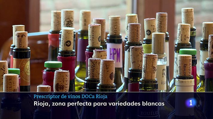 Informativo Telerioja - Informativo Telerioja  - 24/10/24 - Ver ahora