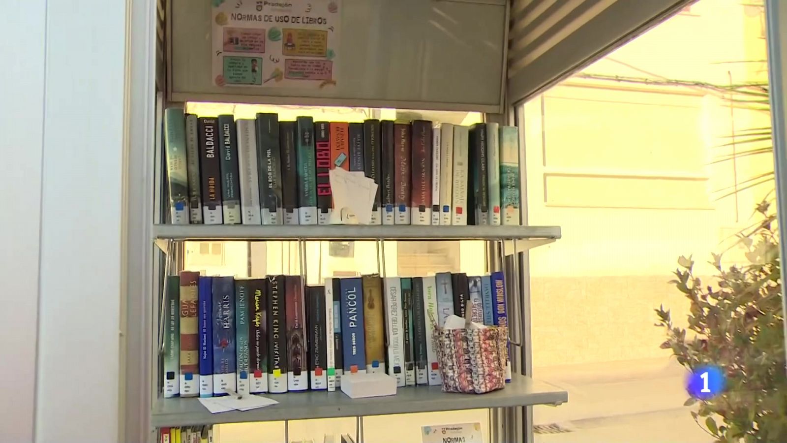 Telerioja en 2' - 24-10-2024 | Ver