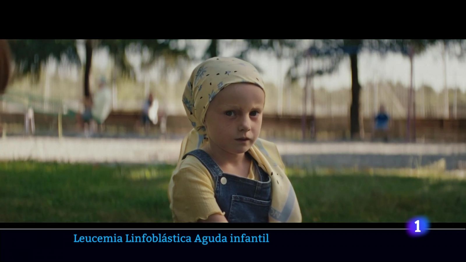 L'Informatiu de la Comunitat Valenciana 2 - 24/10/24 | Ver