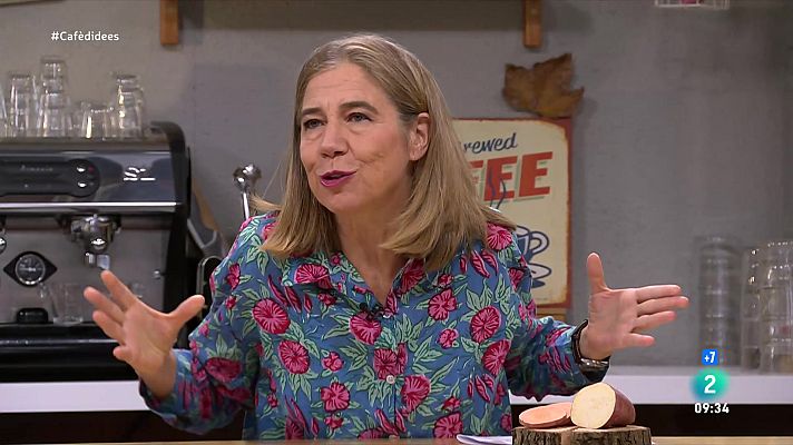 'Històries de bar' amb Ada Parellada: tot sobre els moniatos
