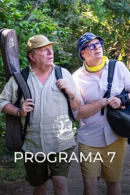 Programa 7