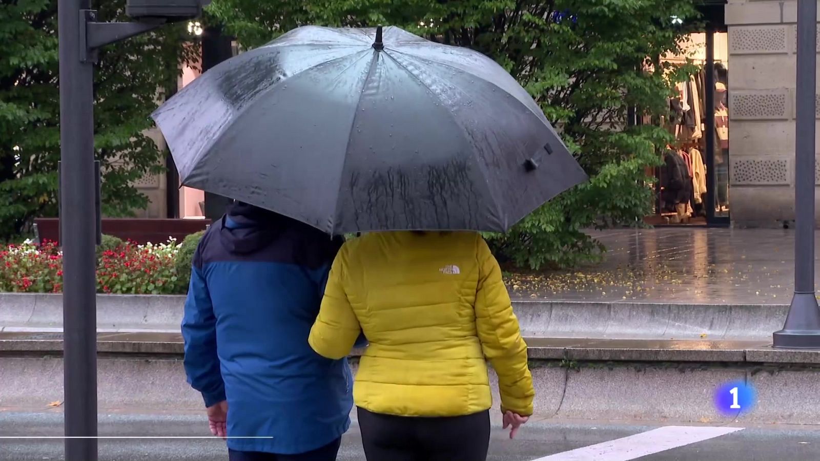 Informativo Telerioja 2 - 25-10-2024 - Informativo Telerioja | Ver