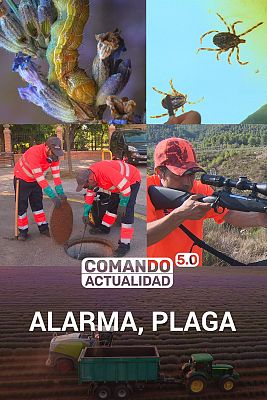 Alarma, plaga