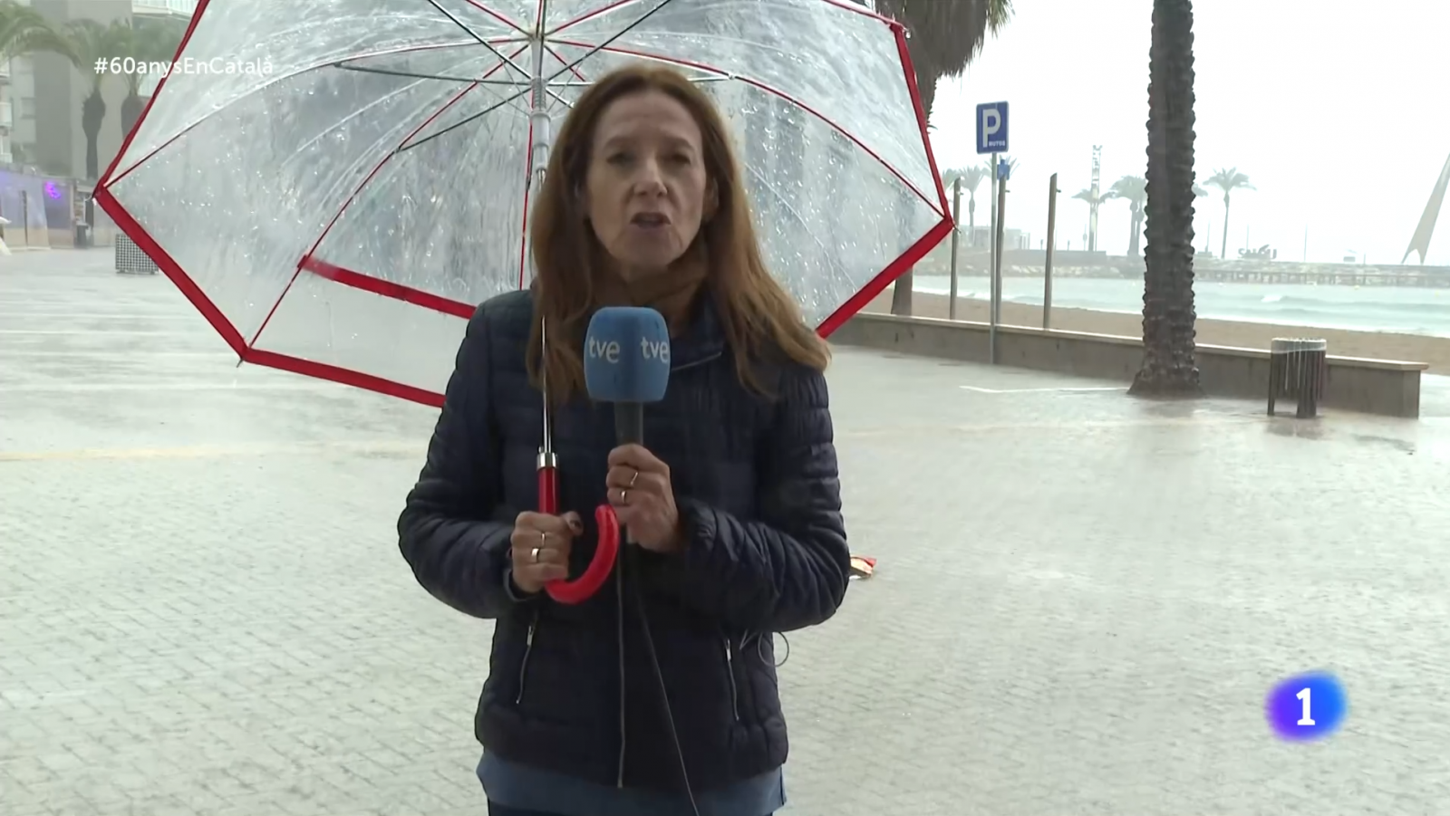 Cap de setmana marcat per les pluges - L'Informatiu | Veure