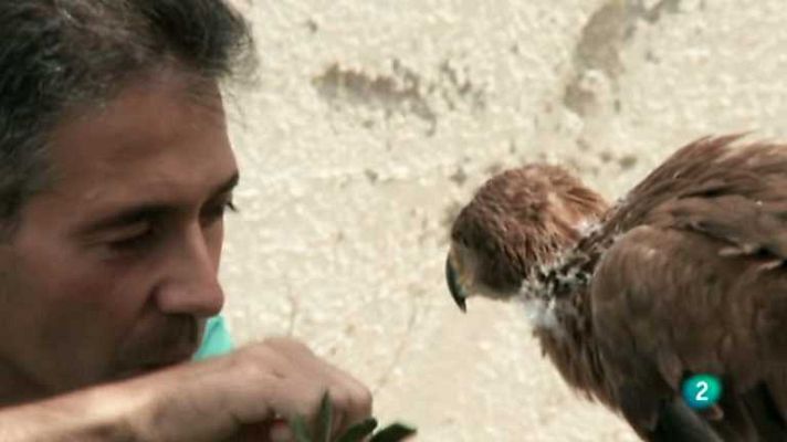 Biodiario - Biodiario - 31/12/12