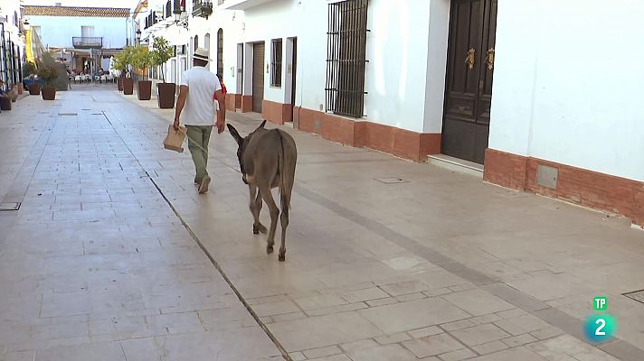 Voces del Extremo: Poesía disidente