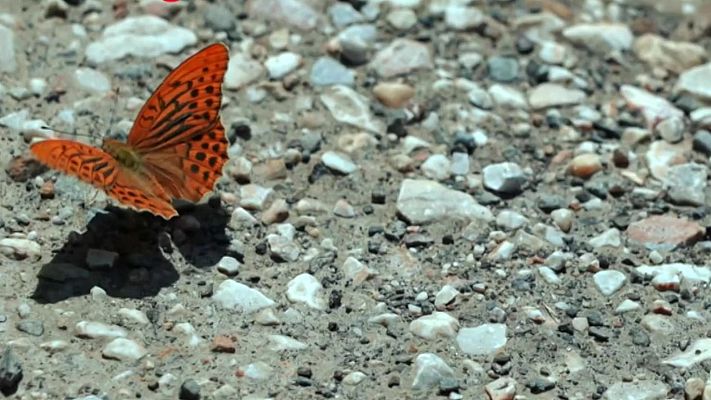 La aventura del Saber - Agenda natural