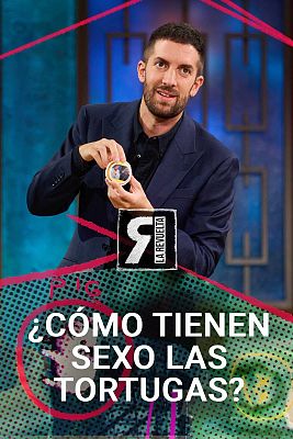 La Revuelta - ¿Cómo tienen sexo las tortugas?