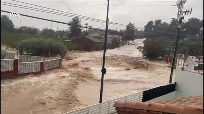 Informativo 24h - Informativo 24 horas - 14h - 29/10/24