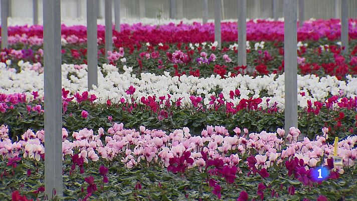 Informativo Telerioja - Informativo Telerioja 2 - 29-10-2024