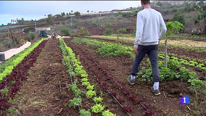 Telecanarias - Telecanarias - 29/10/2024