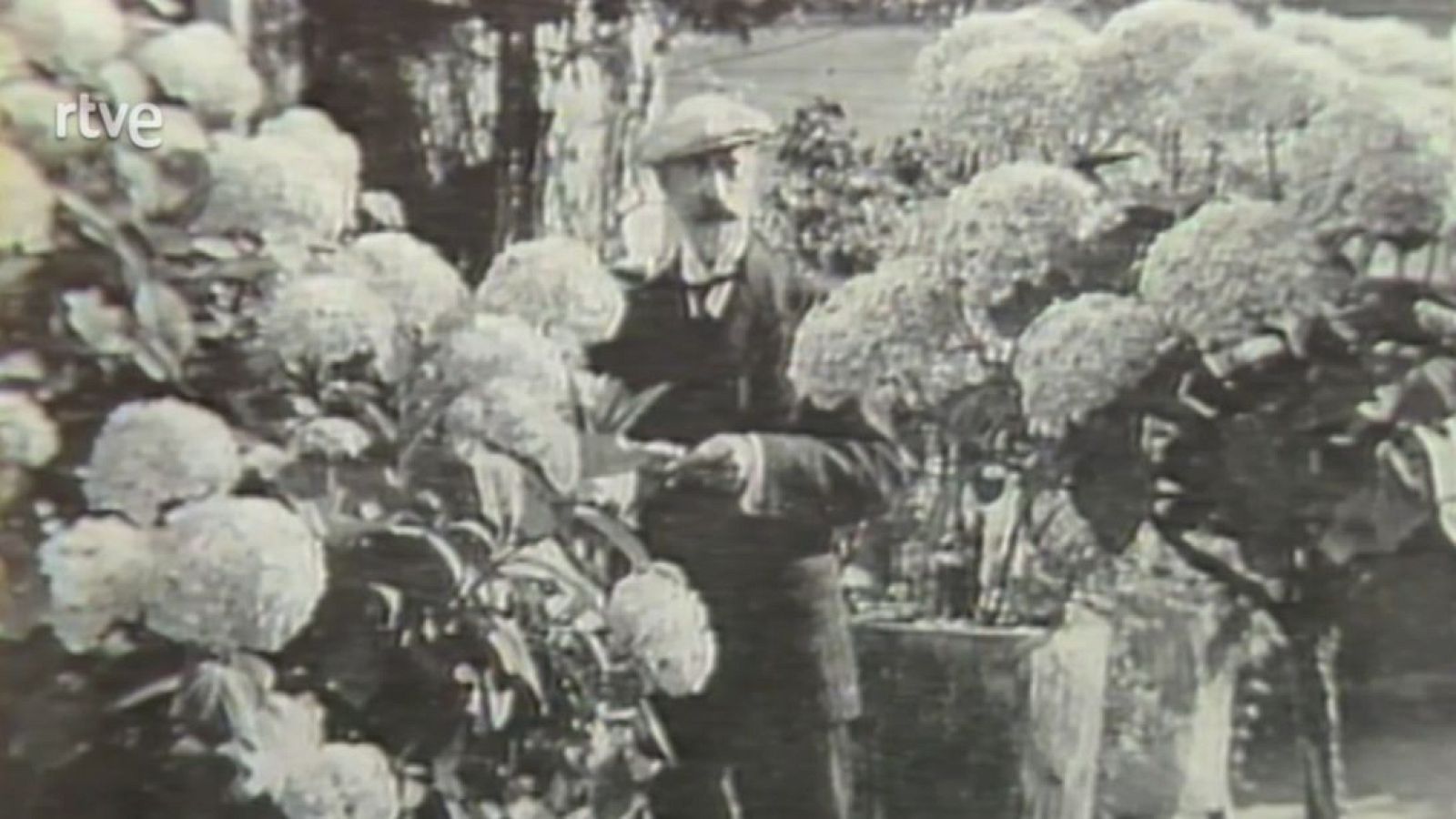 Llibreria Ballester. Apel·les Mestres. Premsa. Pla de Museus - Arxiu TVE Catalunya | Veure