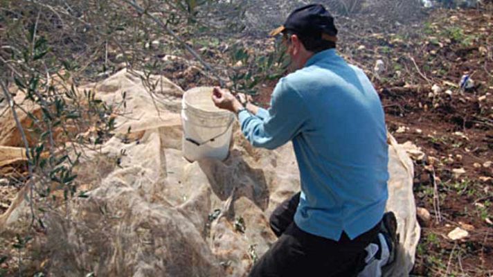 Telediario 1 - El calendario laboral de 2013