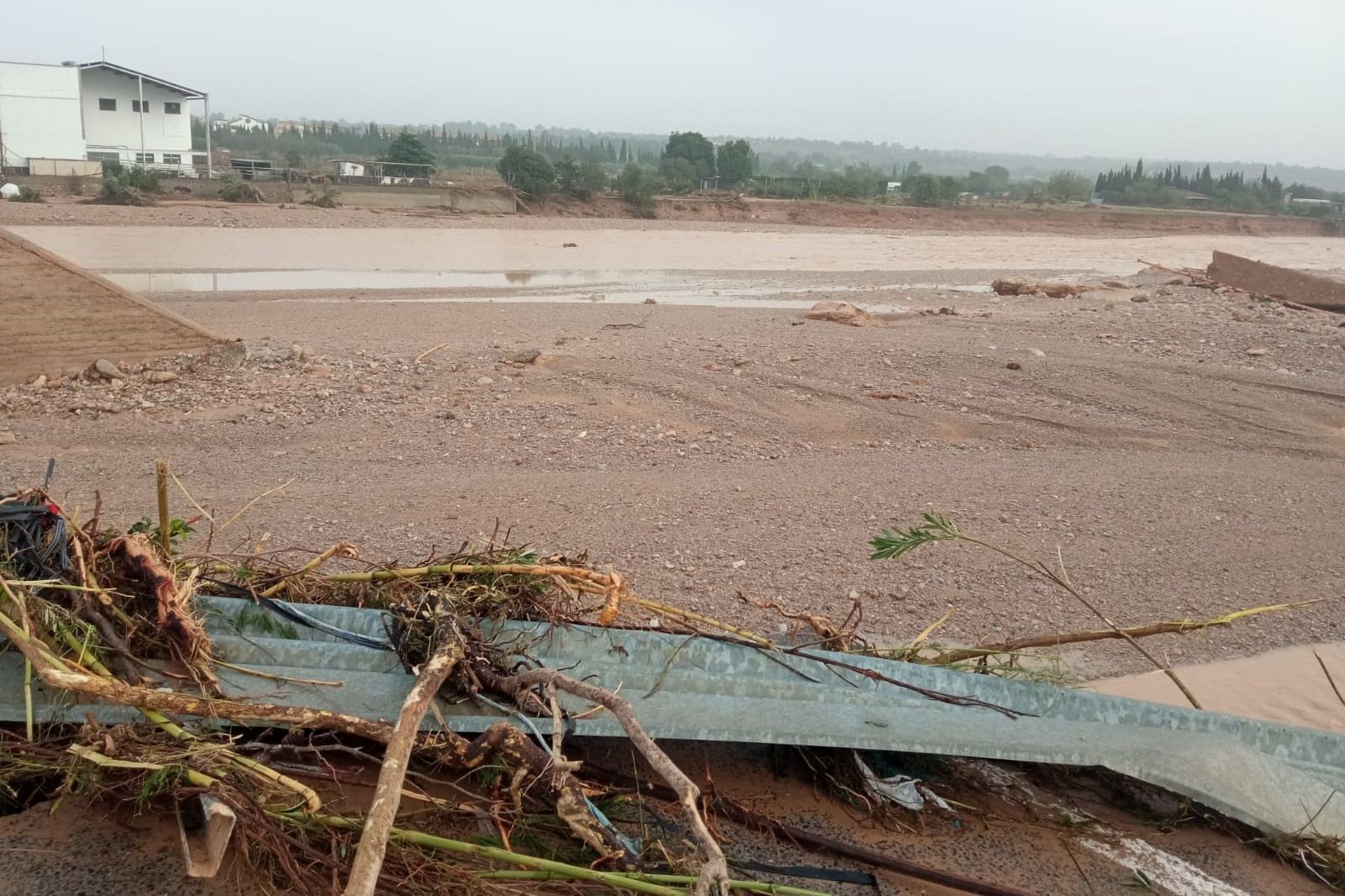 Una hija busca a su padre, desaparecido a raíz de la DANA, en Sedaví, municipio de Valencia - La tarde en 24h | Ver