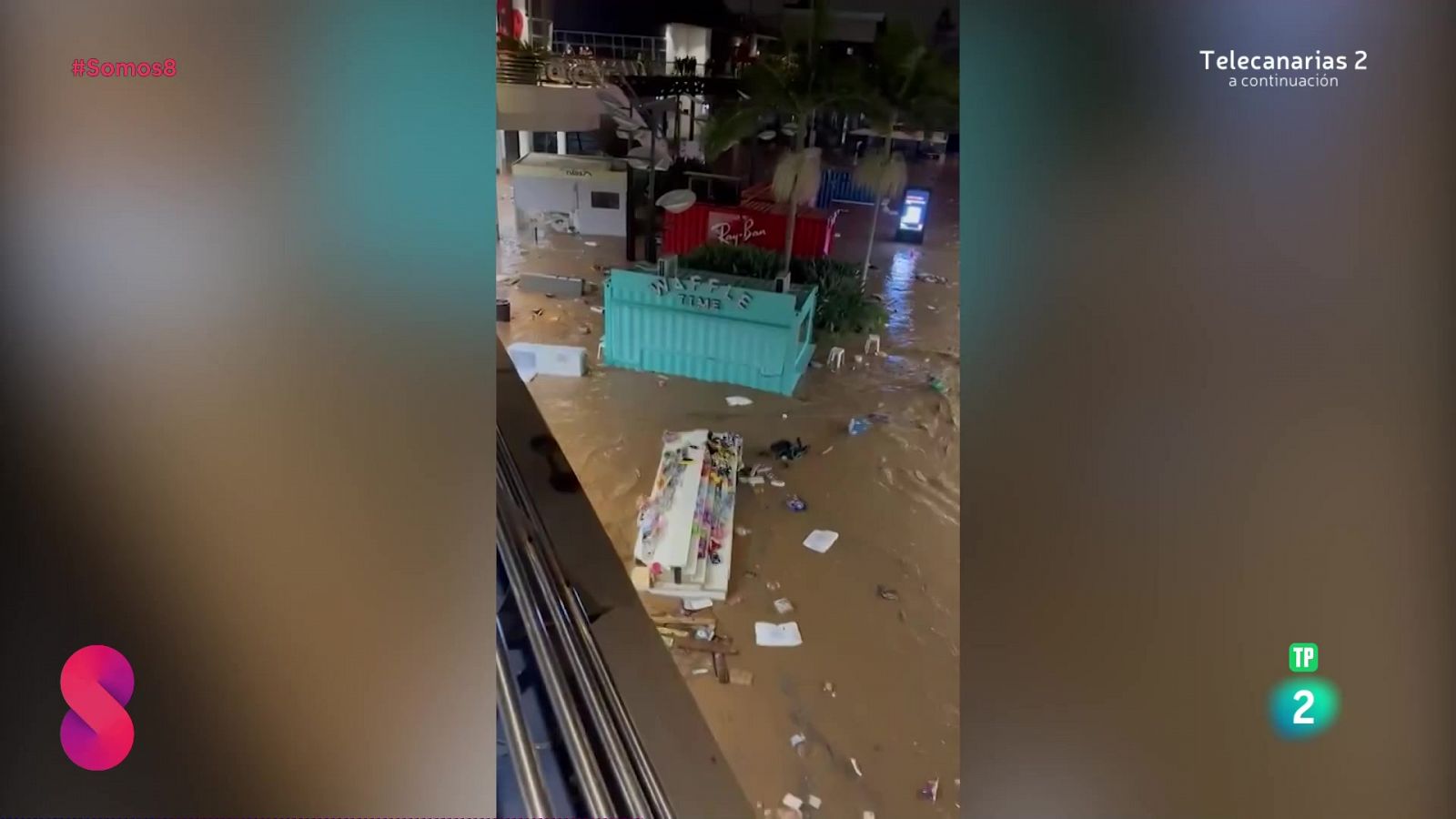 Somos 8 - 30/10/2024 - Somos 8 | Ver