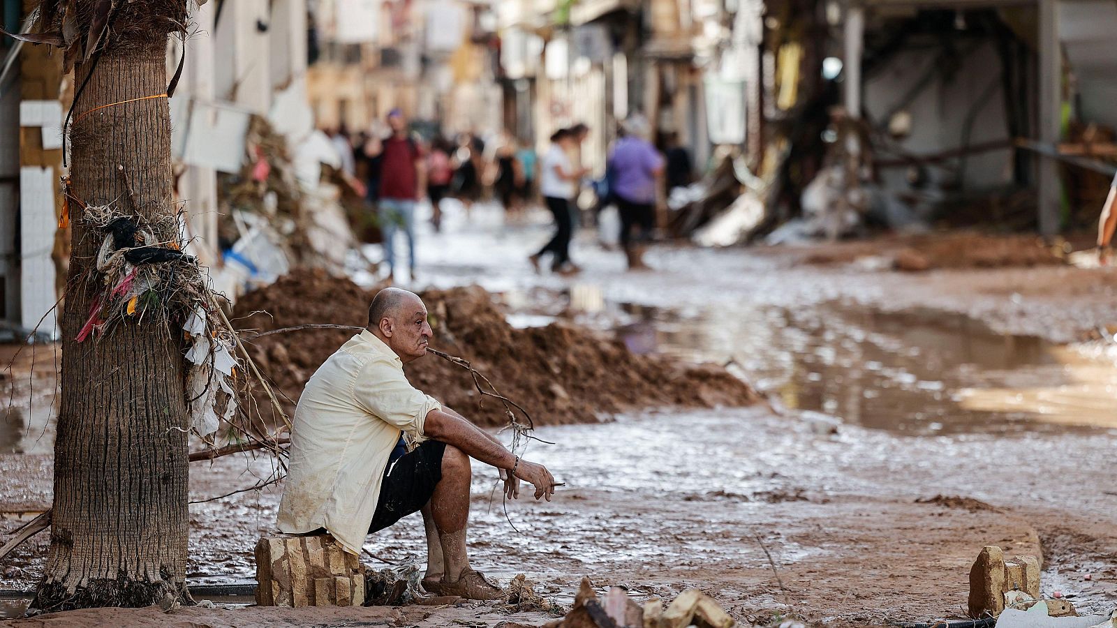 Informativo 24 horas - 14h - 31/10/24 - ver ahora