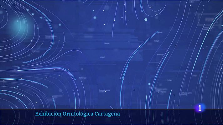 Noticias Murcia - El Tiempo en la Región de Murcia - 31/10/2024