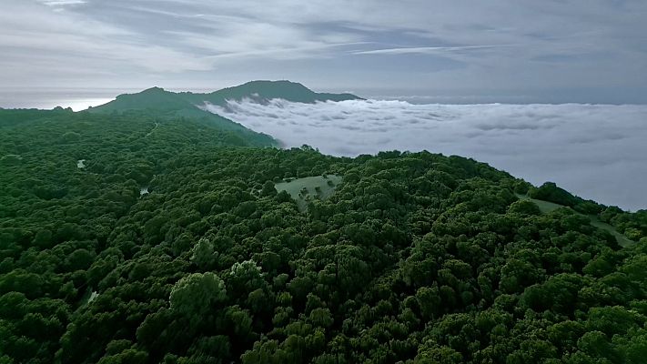 Alisios, el soplido de la travesía