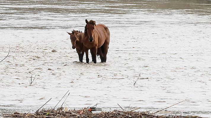 Telediario Fin de Semana - Telediario matinal en cuatro minutos - 01/11/2024