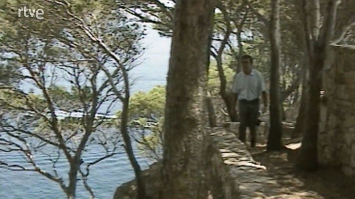 Camins de ronda