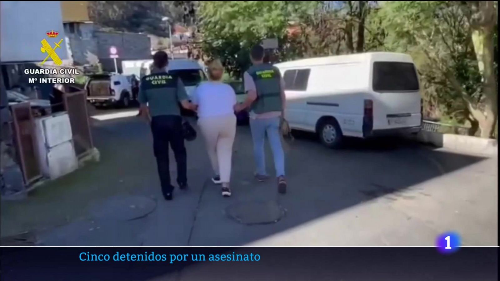 Telecanarias - 02/11/2024 | Ver