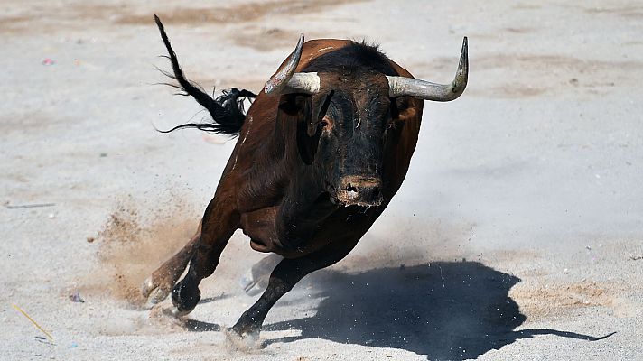 Somos Documentales - En la piel del toro