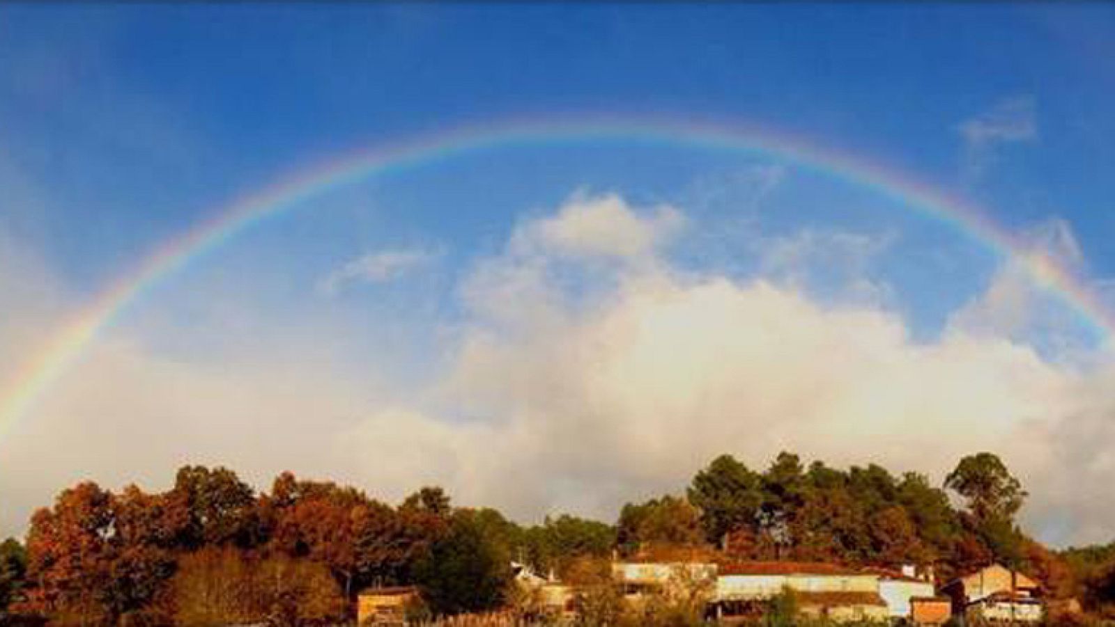 ¡Vuestro 2012 en imágenes!