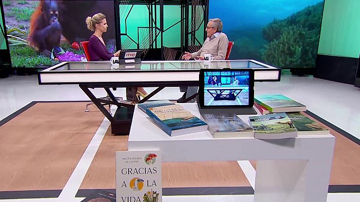 La aventura del Saber - La aventura del saber - 04/11/24