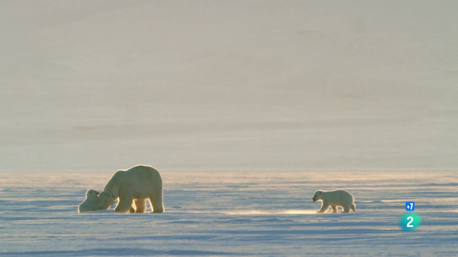 Grans Documentals - La reina sense terra - Veure ara