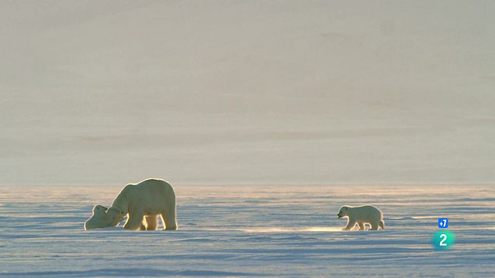Som Documentals - La reina sense terra