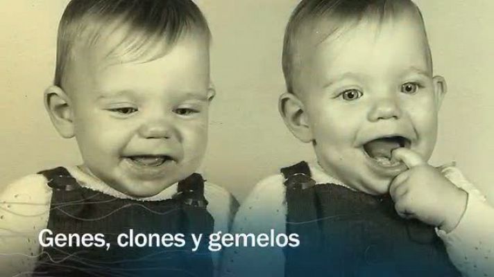 Genes, clones y gemelos - avance