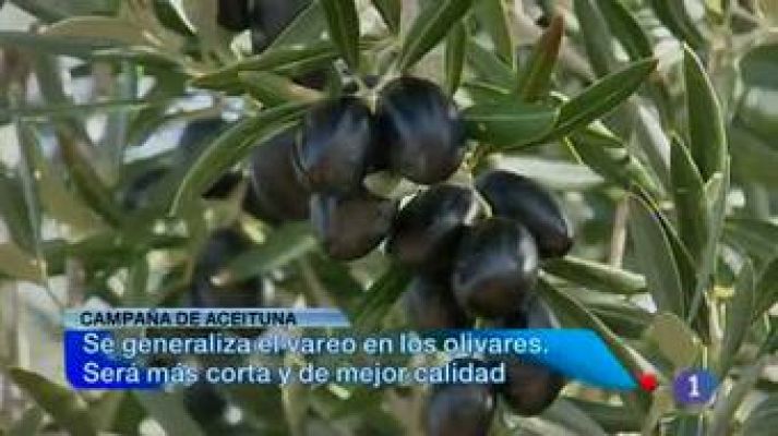 Noticias de Castilla-La Mancha - Noticias Castilla La Mancha en 2' (02/01/2013)