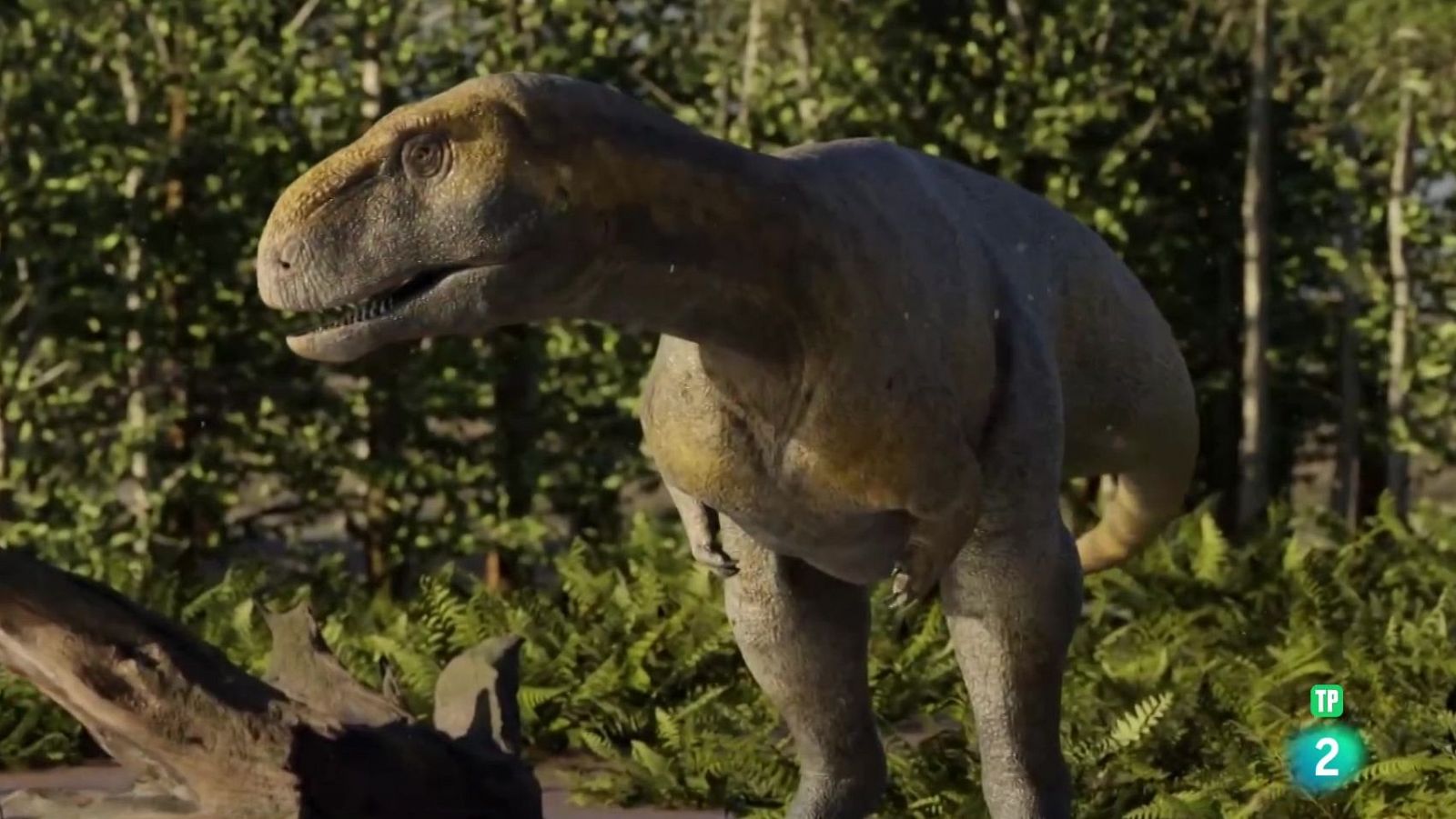 Dinosaurios de la Patagonia | Ver