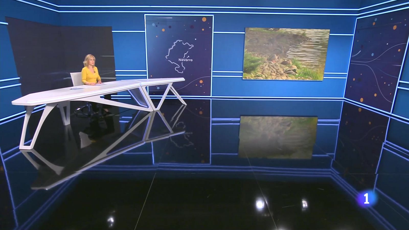 Telenavarra en 2' -  5/11/2024 | Ver