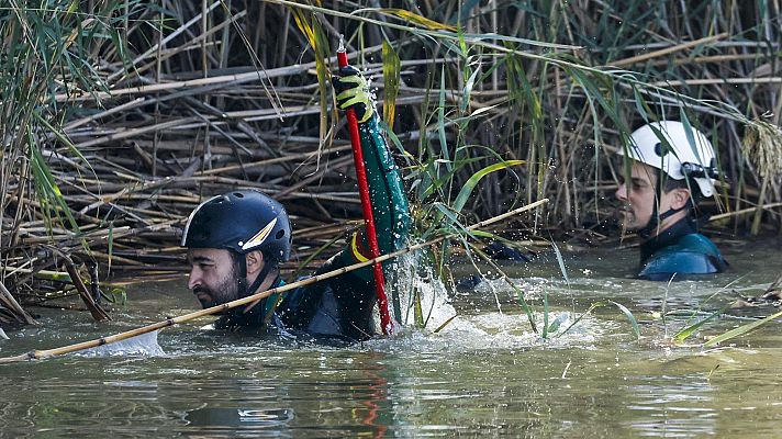 Informativo 24h - Informativo 24 horas - 14h - 05/11/24