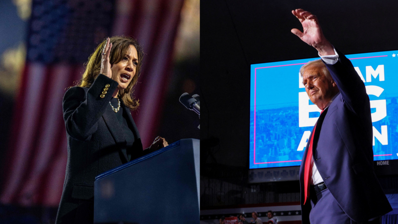 Elecciones en Estados Unidos: el cierre de campaña de Trump y Harris | Ver