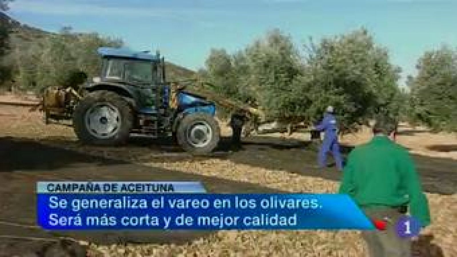 Noticias de Castilla La Mancha 2 (02/01/2013) | Ver