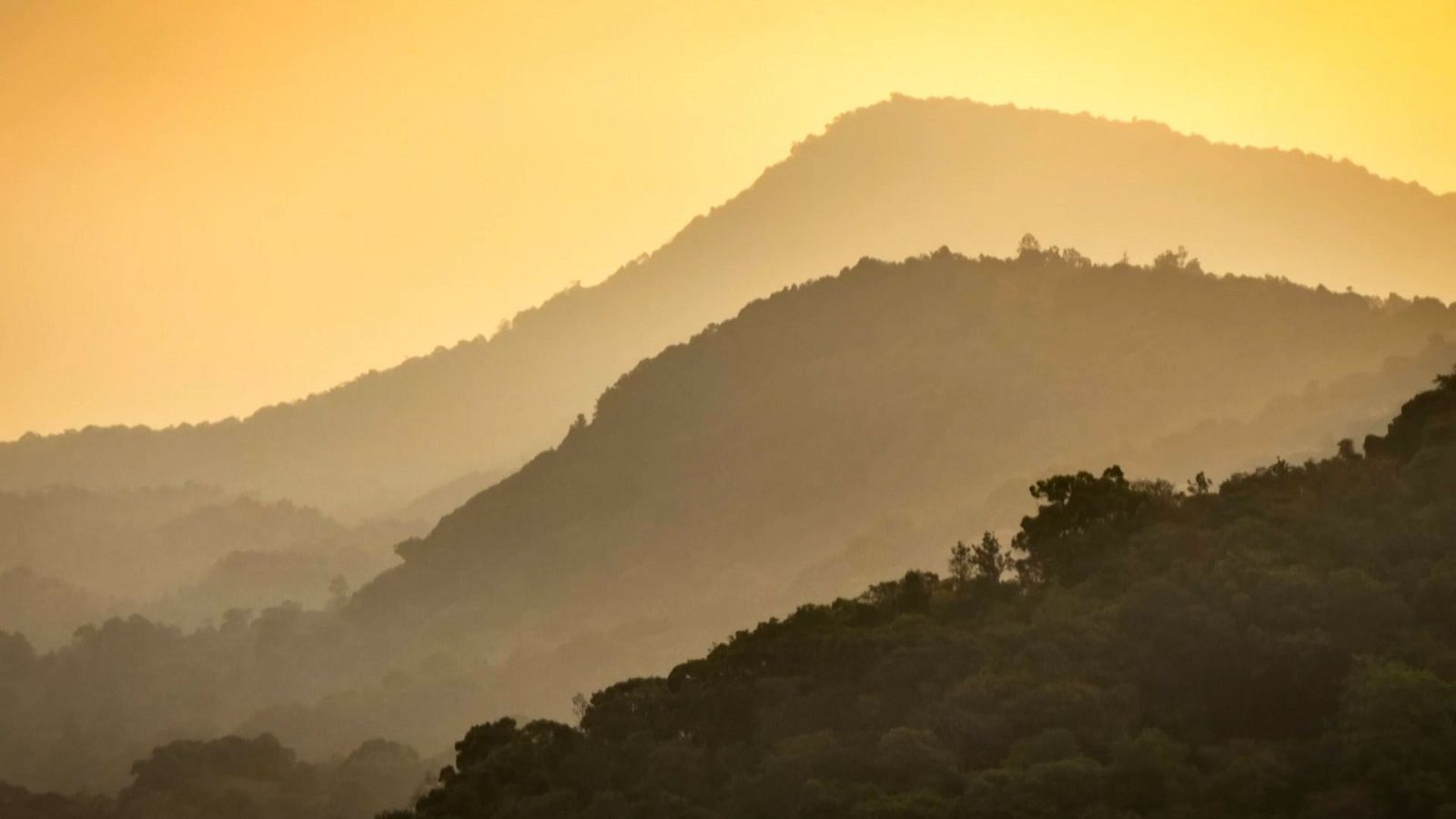 Vientos poderosos - Episodio 4: Monzón, el soplido providencial - ver ahora