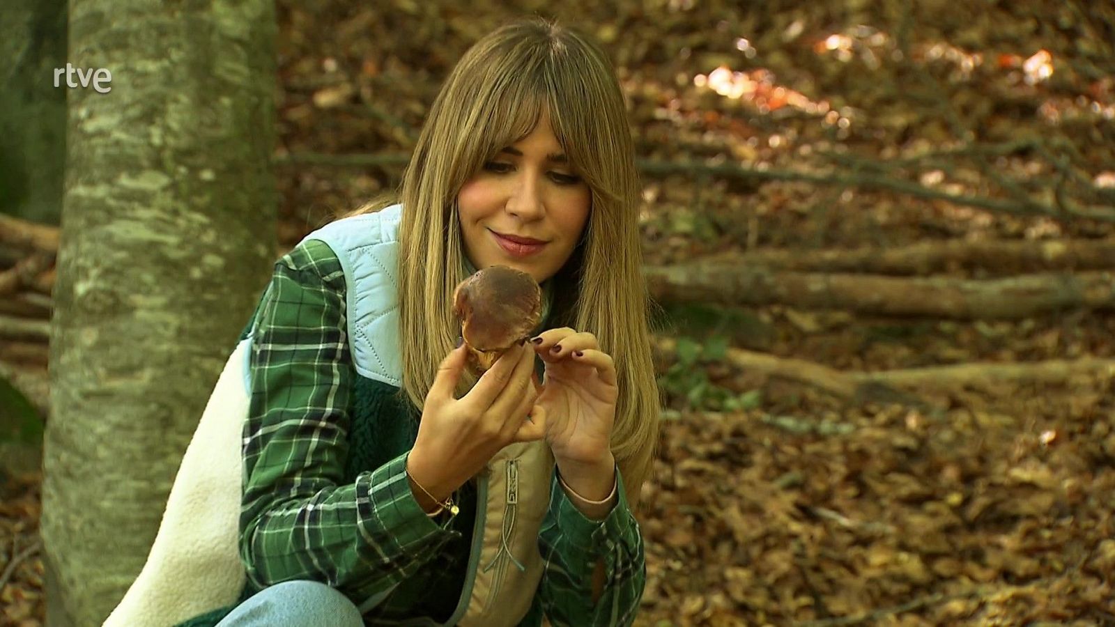 Bolets - Va de Verd | RTVE Catalunya - Va de verd | Veure