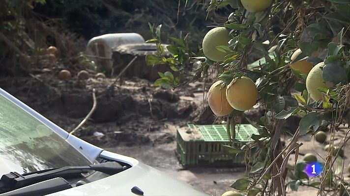 Pedralba, un poble afectat per la DANA i autogestionat per voluntaris