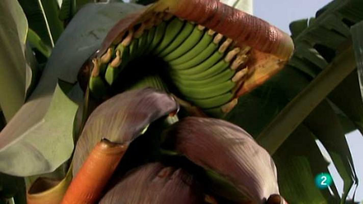 Biodiario - Biodiario - 02/01/13