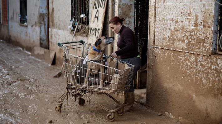 El apoyo psicológico, fundamental tras la devastación dejada por la DANA