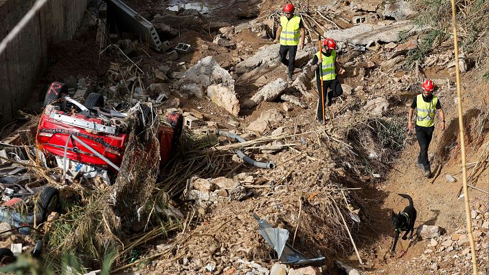 Los expertos piden revisar los sistemas de alerta para prepararse frente a catástrofes como la DANA