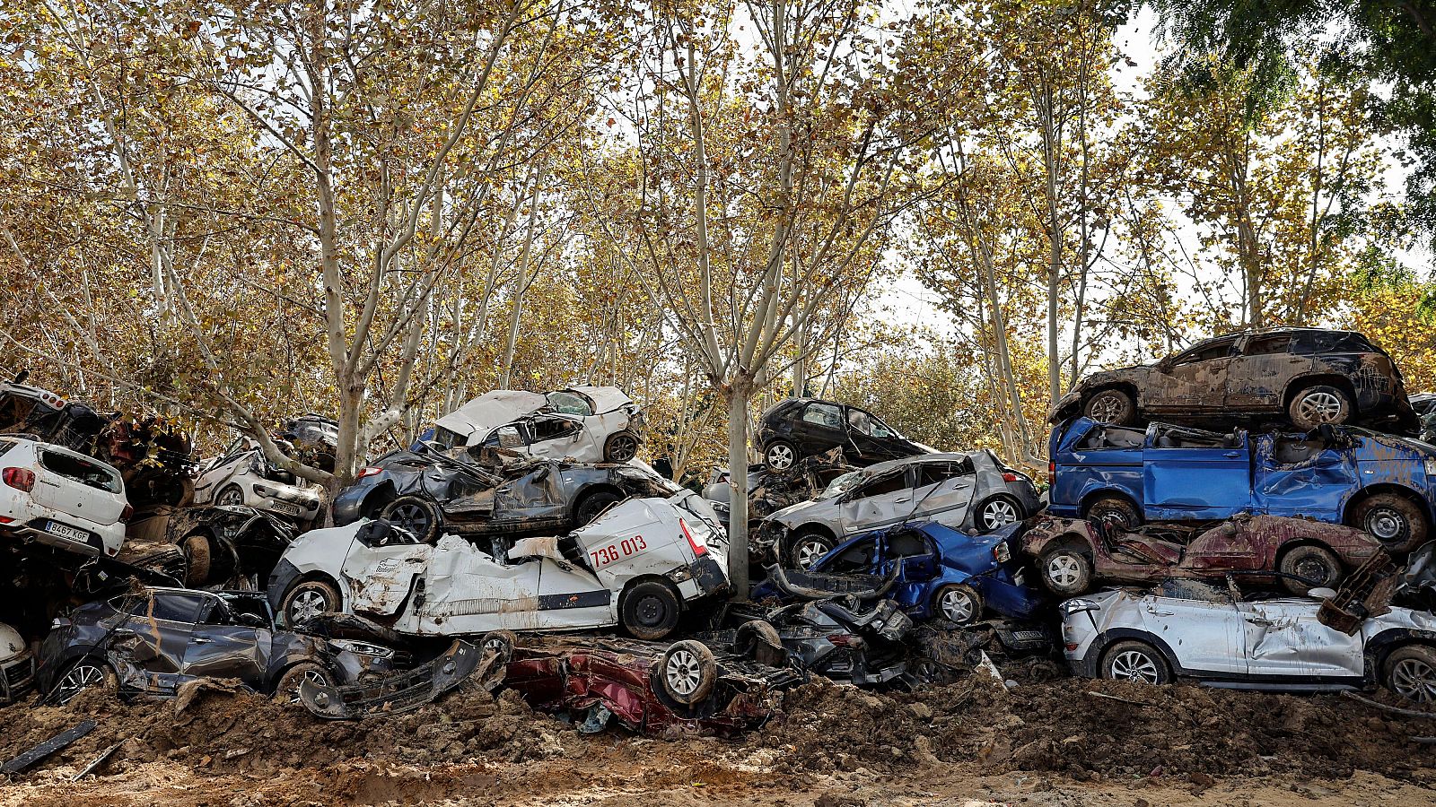 DANA | La delegada del Gobierno llamó hasta tres veces a la Generalitat | Ver