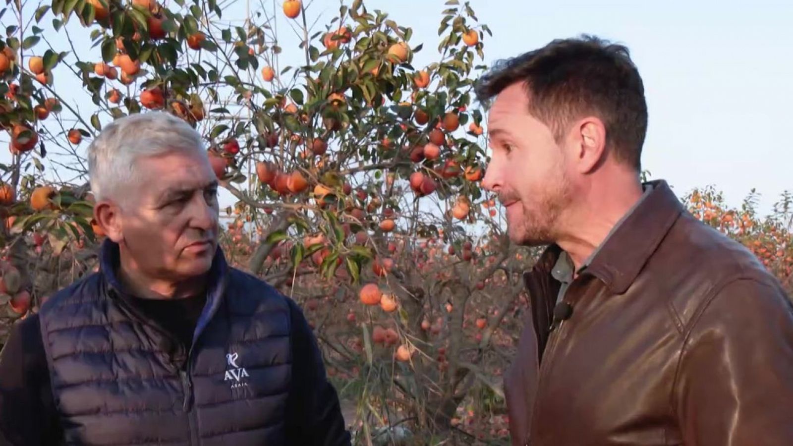 Efectos de la DANA en el campo | Ver