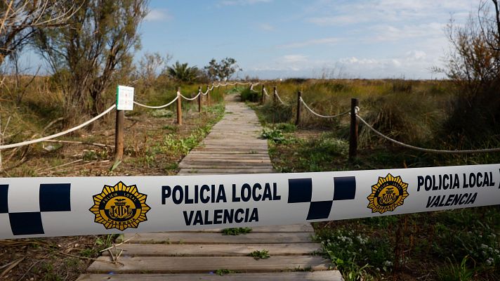 Informativo 24h - Informativo 24 horas - 20h - 07/11/24