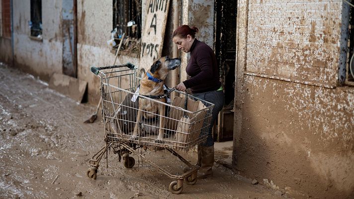 Telediario Matinal - Telediario - 8 horas - 08/11/24