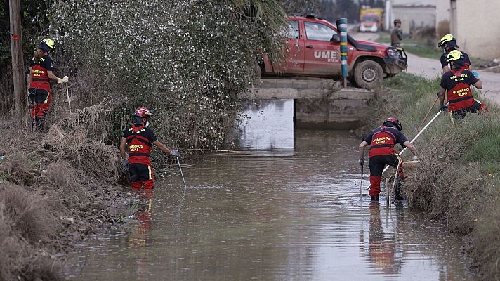 Diario 24 - Diario 24 - 08/11/24